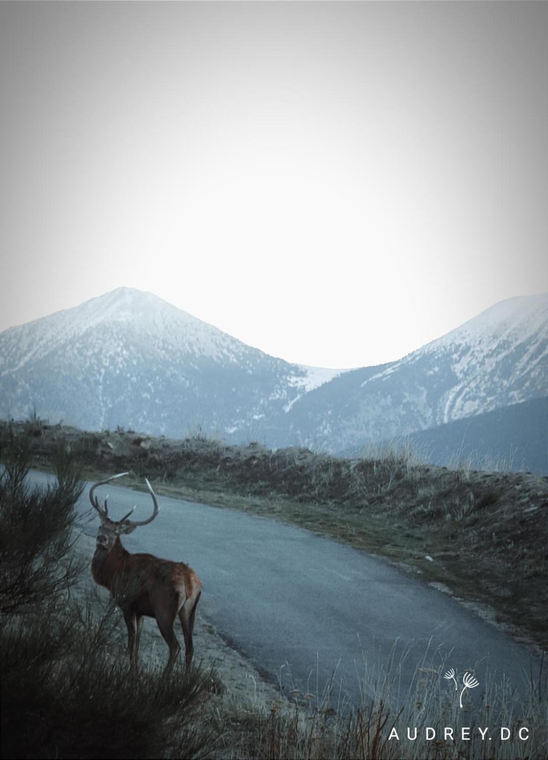 Font-Romeu-Odeillo-Via Charmant Appartement Les Temples Du Soleil מראה חיצוני תמונה